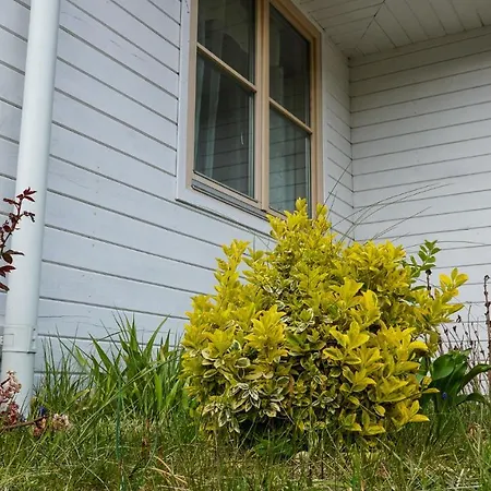 Homestay Debki Na Spokojnie